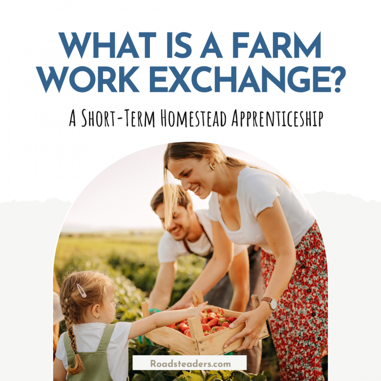 What Is A Farm Work Exchange?